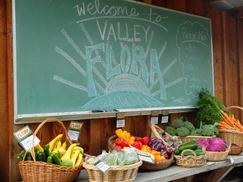Valley Flora Farm